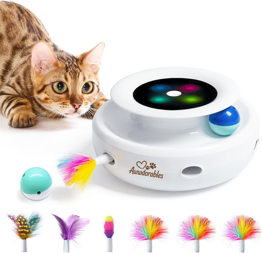 Feeding the Mind: Why Playtime Is Part of Pet Nourishment